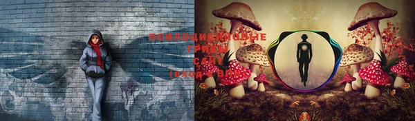 марихуана Балабаново