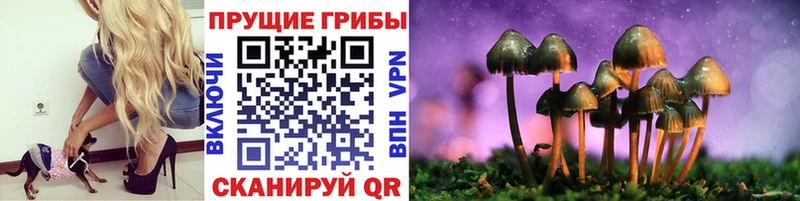 Псилоцибиновые грибы Magic Shrooms  Знаменск 